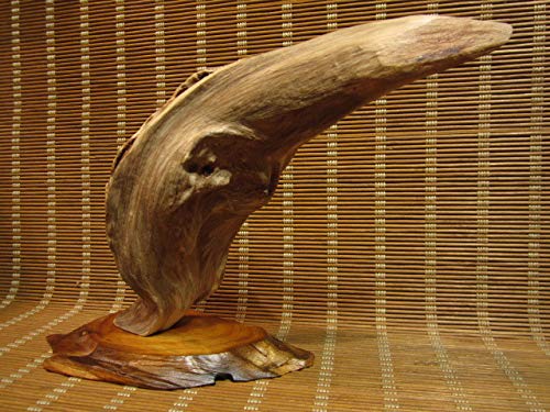 Amazon.co.jp: 屋久杉工芸品 自然木 置物 台付き 和風 一点物